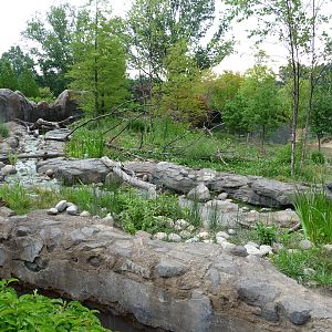 National Zoo - Asian small-clawed otter exhibit