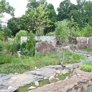 National Zoo - Asian small-clawed otter exhibit