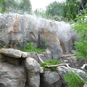National Zoo - Red Panda Exhibit