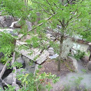 National Zoo - Red Panda Exhibit