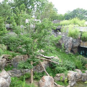 National Zoo - Giant Panda Habitat
