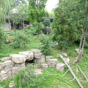 National Zoo - Giant Panda Habitat