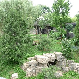National Zoo - Giant Panda Habitat