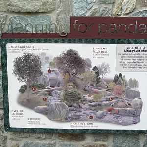 National Zoo - Giant Panda Habitat