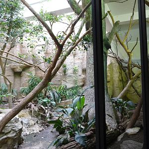 National Zoo - Mixed-Species exhibit