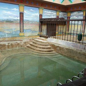 National Zoo - River Hippo Pool