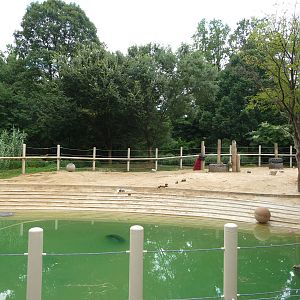 National Zoo - Asian Elephant Pool