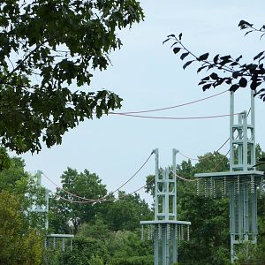National Zoo - Orangutan O-Line