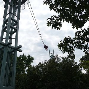 National Zoo - Orangutan O-Line