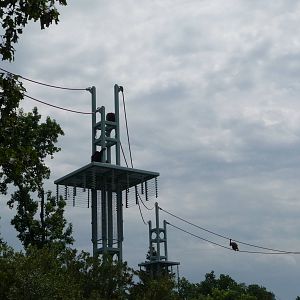 National Zoo - Orangutan O-Line