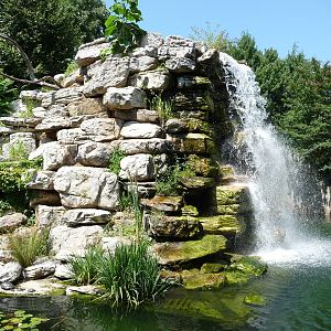 National Zoo - Lemur Island