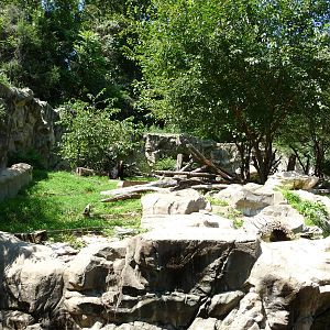 National Zoo - Andean Bear Habitat