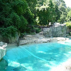 National Zoo - Sea Lion Pool