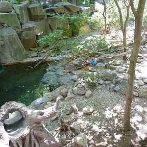 National Zoo - Beaver Exhibit