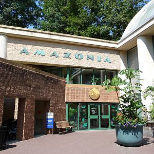 National Zoo - Amazonia rainforest building
