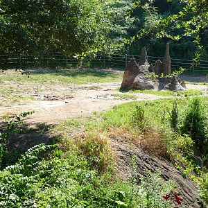 Pittsburgh Zoo - Black rhino paddock