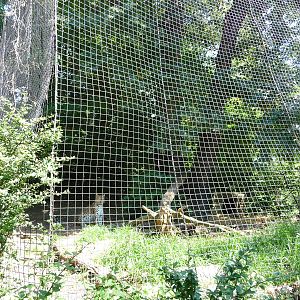 Pittsburgh Zoo - Leopard cage