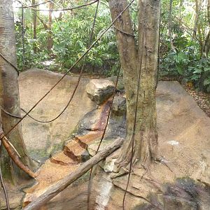 Pittsburgh Zoo - Mandrill Exhibit