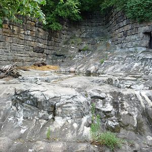 Pittsburgh Zoo - Grizzly bear grotto