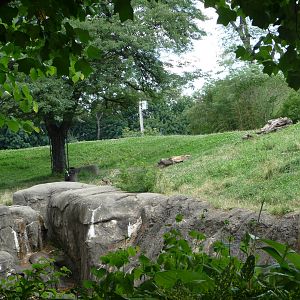 Pittsburgh Zoo - Gorilla Exhibit
