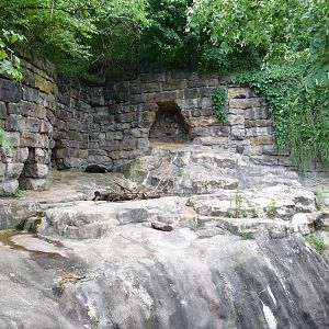 Pittsburgh Zoo - American black bear grotto