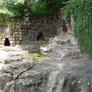 Pittsburgh Zoo - American black bear grotto