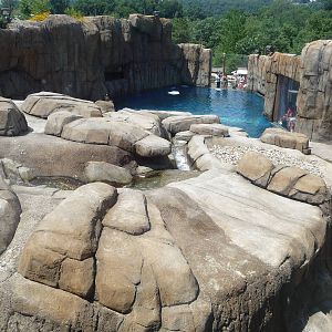 Pittsburgh Zoo - Polar Bear Exhibit