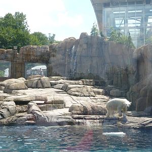 Pittsburgh Zoo - Polar Bear Exhibit