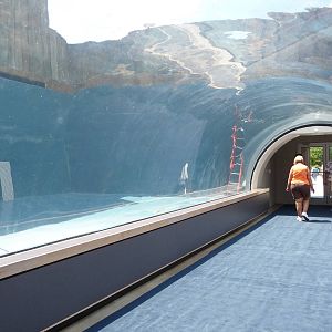 Pittsburgh Zoo - Future Walrus Exhibit