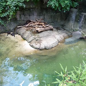 Pittsburgh Zoo - Beavers