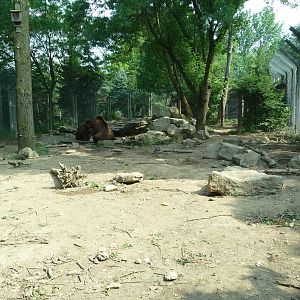 Columbus Zoo - Grizzly Bear Exhibit