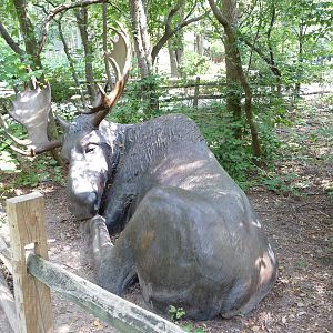 Columbus Zoo - Moose Statue