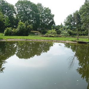Columbus Zoo - Moose Pond