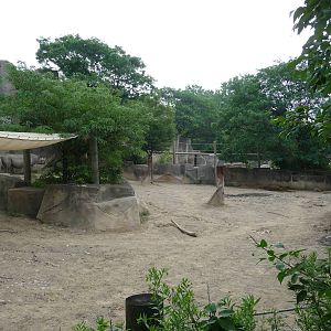 Columbus Zoo - Black rhino paddock