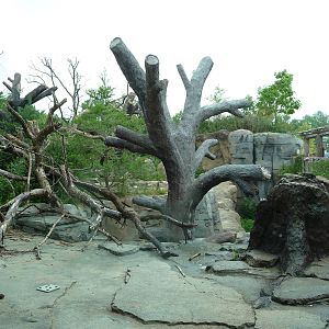 Columbus Zoo - Sun Bear Exhibit