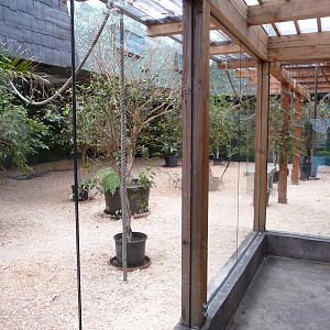 Columbus Zoo - Giant Fruit Bat Exhibit