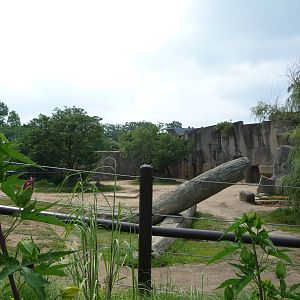 Columbus Zoo - Asian elephant paddock