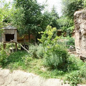 Columbus Zoo - Red Panda Exhibit