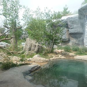Columbus Zoo - Siberian Tiger Exhibit