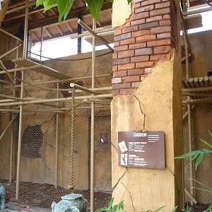Columbus Zoo - Gibbon Indoor Exhibit