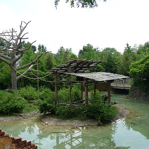 Columbus Zoo - Gibbon Island