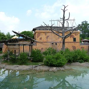 Columbus Zoo - Gibbon Island