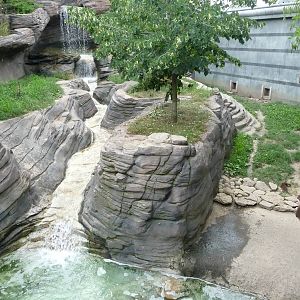 Columbus Zoo - Asian small-clawed otter exhibit