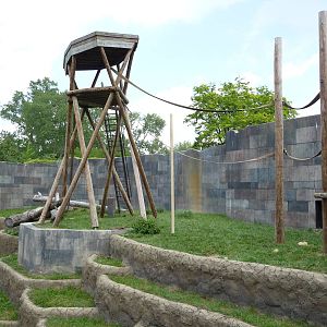Columbus Zoo - Orangutan Exhibit