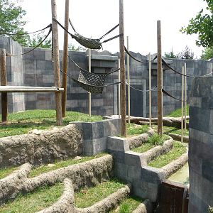 Columbus Zoo - Orangutan Exhibit