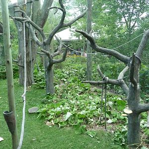 Columbus Zoo - Colobus Monkey Exhibit