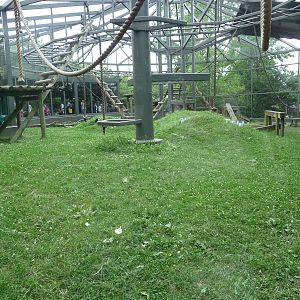 Columbus Zoo - Gorilla Exhibit