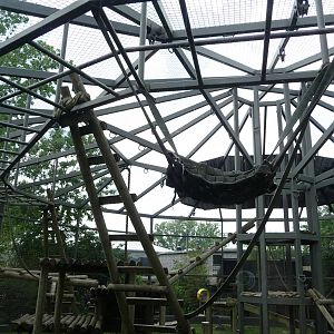 Columbus Zoo - Gorilla Exhibit