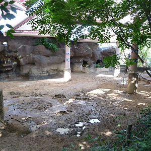 Cincinnati Zoo - Sumatran Rhino Paddock