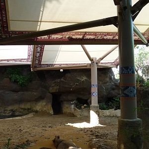 Cincinnati Zoo - Sumatran Rhino Paddock